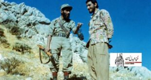 شهید زرین