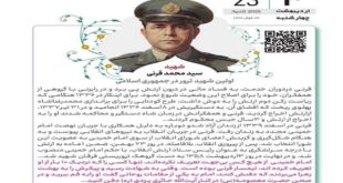 سید‌ محمد ولی قرنی