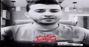 مرتضی باب