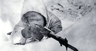 سیمو هایا