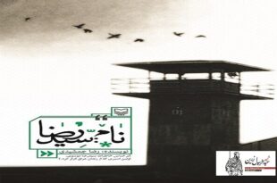سید رضا