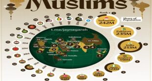 اینفوگرافی/کشورهای دارای بیشترین جمعیت مسلمان