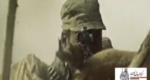 شهید زرین