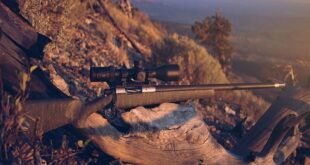 تفنگ گلنگدنی Creedmoor – 24